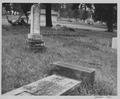 Cemetery Pioneer [30] (recto)