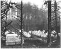 US Army Tent Camp