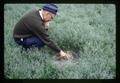 Carey Strome in weed-controlled grass plot, Corvallis, Oregon, circa 1965