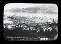 Panorama of Wellington and Harbor