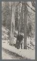 Man and black dog in a snowy forest, circa 1910