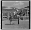 E. L. "Dad" Potter, Animal Husbandry professor, posing with a horse, May 1964