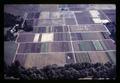 Aerial view of Horticulture Department vegetable farm, Oregon State University, Corvallis, Oregon, September 1969