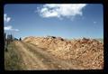 Bedding and manure piled in lane, Don Tschanz farm, June 1972