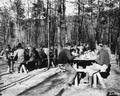 Meal time at CCC Camp Roosevelt, George Washington National Forest, Virginia