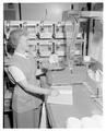 Margaret Millsap weighing white rat used in irradiated food research, 1958