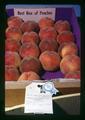 Best Box of Peaches by Dennis Williams, Oregon State Fair, Salem, Oregon, circa 1973