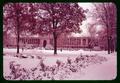 Snow-covered Memorial Union Quad, circa 1965