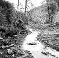 Big Creek, tributary of the Smith River, shown after debris removal