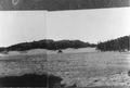 Broadcasting maritime pine seed on Umpqua Sand Dune Experiment.  Siuslwas NF, Oregon 1911