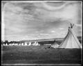 Indian camps, Umatilla Indian Reservation, July, 4, 1902
