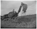 Digging footings for Parker Stadium, June 1953