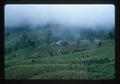 Hill tribe village, northern Thailand, 1960