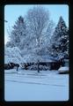 Snowy day at Lemon's house, Corvallis, Oregon, 1989
