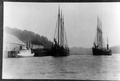Shipping scene at dock in Gardiner, OR. Tug boat, two sailing ships, one being guided by tug.