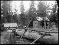 Cale homestead. A cabin made of hewn logs surrounded by trees. Large log in foreground.