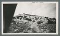 An unidentified forest fire lookout shelter, 1942