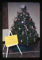 July Tree in Trees for all Seasons display, Oregon State University, Corvallis, Oregon, August 1972