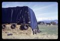 Closeup of plastic cover held down with tires over ryegrass, Oregon, circa 1971