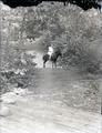 Little girl and a pony