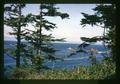 Coast near Port Orford, Oregon, circa 1970