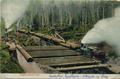 Logging scene, probably in eastern Oregon pines