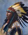 Black Bird, Sioux Chief