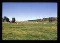 Cattle and farmstead, Jefferson County, Oregon, circa 1972