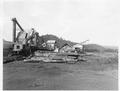 Stack of logs being loaded into mill