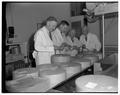 Meadowland Dairy? judging cheese, March 1951