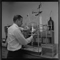 Faculty with white rat used in rocket fuel experiment at the Science Research Institute, 1964