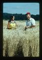 Warren Kronstad and another in new wheat selections, Oregon, 1975