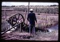 Alligator pump at Bungkhen, Thailand, circa 1965