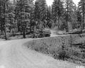 Log truck on Arvid Nelson Road, a main haul road in the Ochoco National Forest