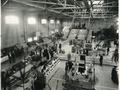 Horticulture show in the Men's Gymnasium main floor