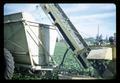 Closeup of mechanical bean harvesting at Edwards Farm, 1967