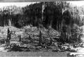 The Allik place N. Fork, Schooner Creek, Lincoln Co, Oregon 1910 Siuslaw NF