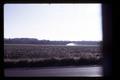 Sprinklers on field with waste from barns, Oregon, circa 1971