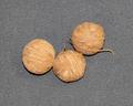 Three tiny balls of natural brown linen yarn wound around white cotton