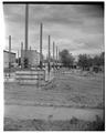 Library construction, Summer 1963