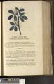 A New Family Herbal or Familiar Account of the Medical Properties of British and Foreign plants also their uses in Dying and the Various Arts arranged according to the Linnaean System [p689]