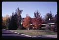 Autumn color on sweetgum trees on Van Buren Street by E.B. Lemon and Lear houses, Corvallis, Oregon, 1966