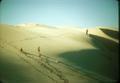 Hikers on Umpqua Dunes.  Three people on high dunes