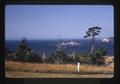 Pacific Ocean near Port Orford, Oregon, August 1969