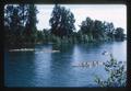 Crew race on Willamette River, Oregon, 1966