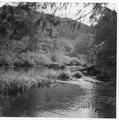 Creek, mountains, and trees