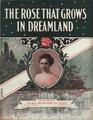 The rose that grows in dreamland