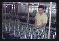 Alfonso Lopez-Benitez in greenhouse, Oregon State University, Corvallis, Oregon, September 1974