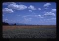 Wheat and grass seed fields near Peoria, Oregon, 1975