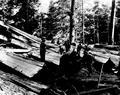 Men with large split logs(2)